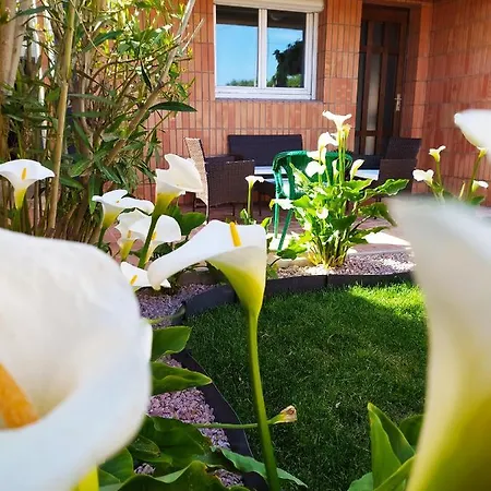 Riba D Aude Guest house