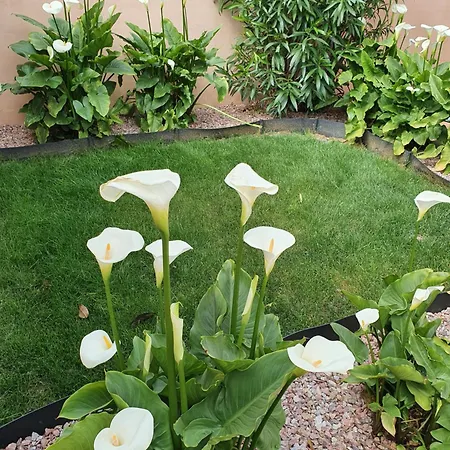 לינה וארוחת בוקר Riba D Aude קרקסון