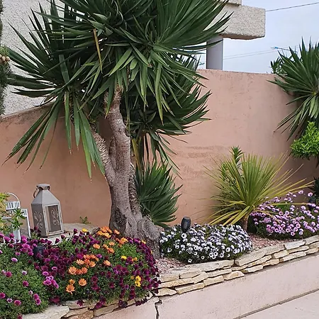 לינה וארוחת בוקר Riba D Aude קרקסון